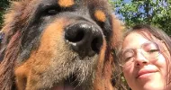avatar petsitter