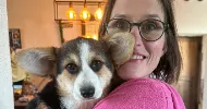 avatar petsitter