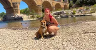 avatar petsitter