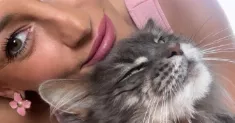 avatar petsitter