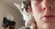 avatar petsitter