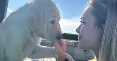 avatar petsitter