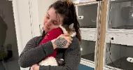 avatar petsitter