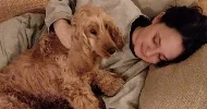 avatar petsitter