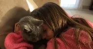 avatar petsitter