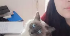 avatar petsitter