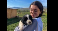 avatar petsitter