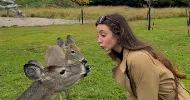 avatar petsitter