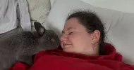 avatar petsitter