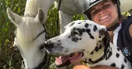 avatar petsitter