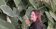 avatar petsitter