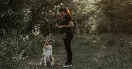 avatar petsitter