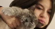 avatar petsitter