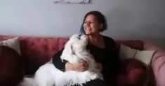 avatar petsitter