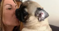 avatar petsitter