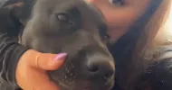 avatar petsitter