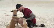 avatar petsitter