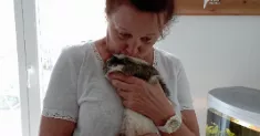 avatar petsitter