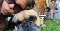 avatar petsitter