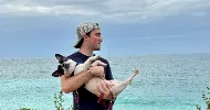 avatar petsitter