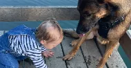 avatar petsitter