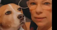 avatar petsitter