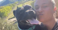 avatar petsitter