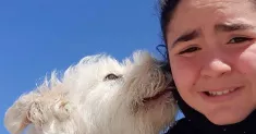 avatar petsitter