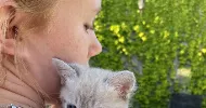 avatar petsitter
