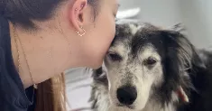 avatar petsitter