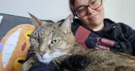 avatar petsitter