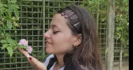 avatar petsitter