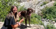 avatar petsitter