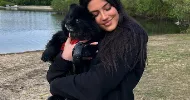 avatar petsitter