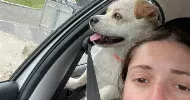 avatar petsitter