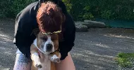 avatar petsitter