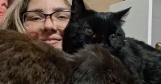 avatar petsitter