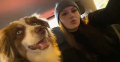 avatar petsitter
