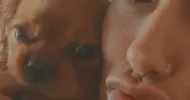 avatar petsitter