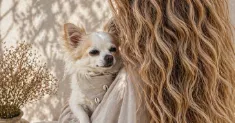 avatar petsitter