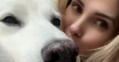 avatar petsitter