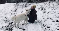 avatar petsitter