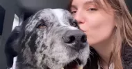 avatar petsitter