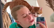 avatar petsitter