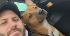 avatar petsitter