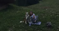avatar petsitter