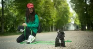 avatar petsitter