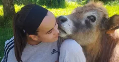 avatar petsitter
