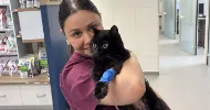 avatar petsitter