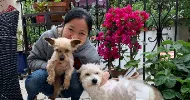 avatar petsitter